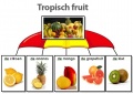 Tropisch fruit 1 2.jpg