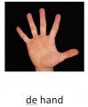 Hand 1 2.jpg