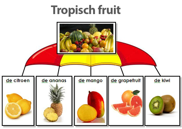 Bestand:Tropisch fruit 1 2.jpg