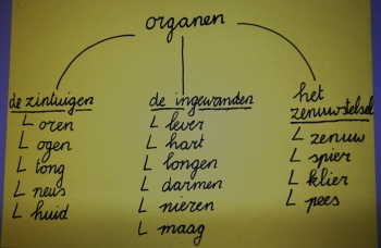 Organen.jpg