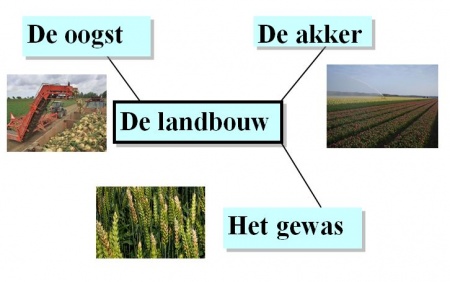 Landbouw - Woorden.wiki.kennisnet.nl