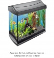 Aquarium 1 2.jpg