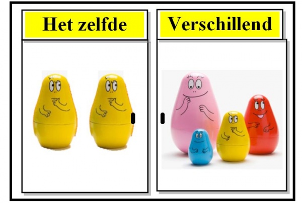Het zelfde - woorden.wiki.kennisnet.nl