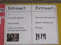 Introvert extravert.JPG