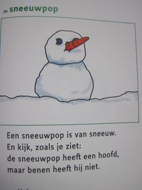 Sneeuwpop.JPG