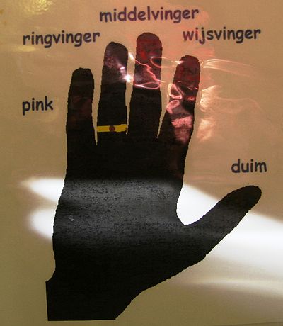 Hand vingers.jpg