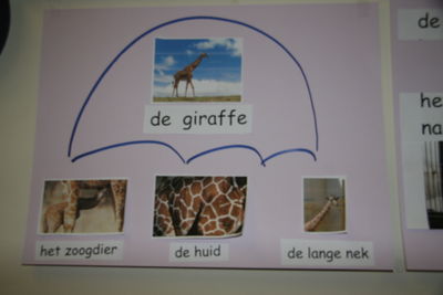 Giraffe.JPG