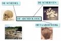 Archeoloog.jpg